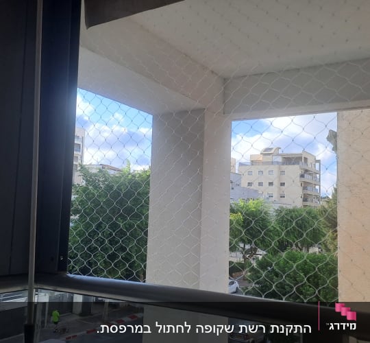 רשת על חלון עם נוף לבניינים ועצים
